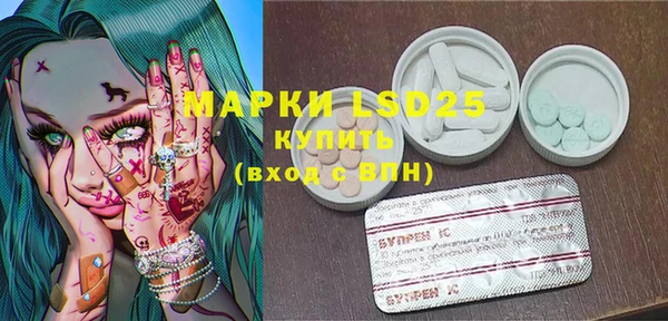 мдпв Новозыбков