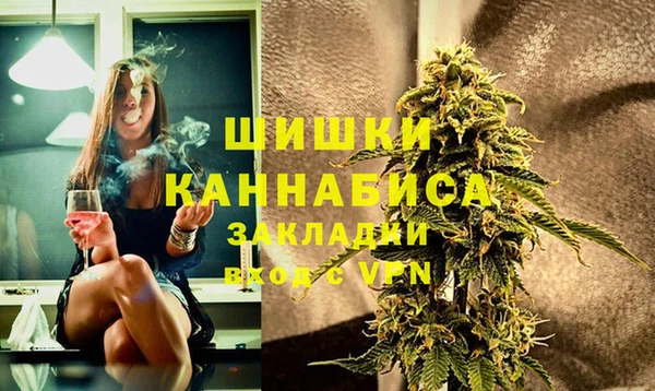 ешки Новодвинск