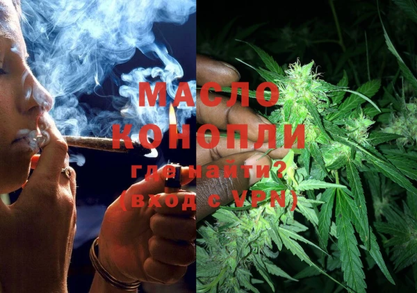 мдпв Новозыбков