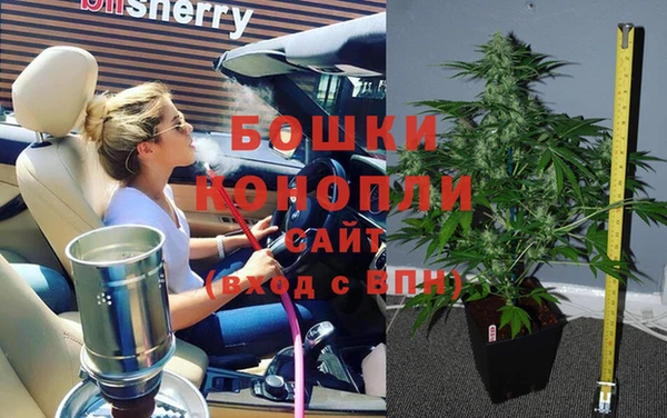 мдпв Новозыбков