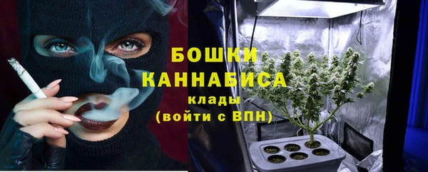 ешки Новодвинск