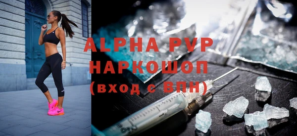 мдпв Новозыбков