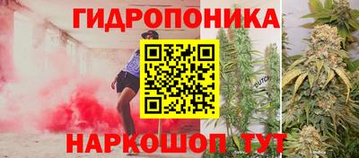 мдпв Дубна