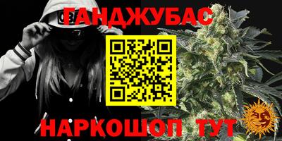 мдпв Дубна