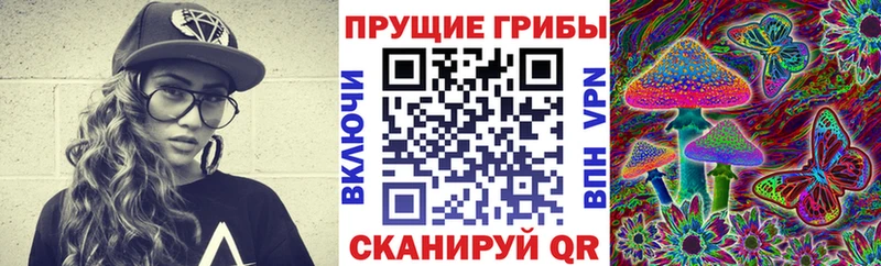 сколько стоит  Зеленогорск  Галлюциногенные грибы ЛСД 