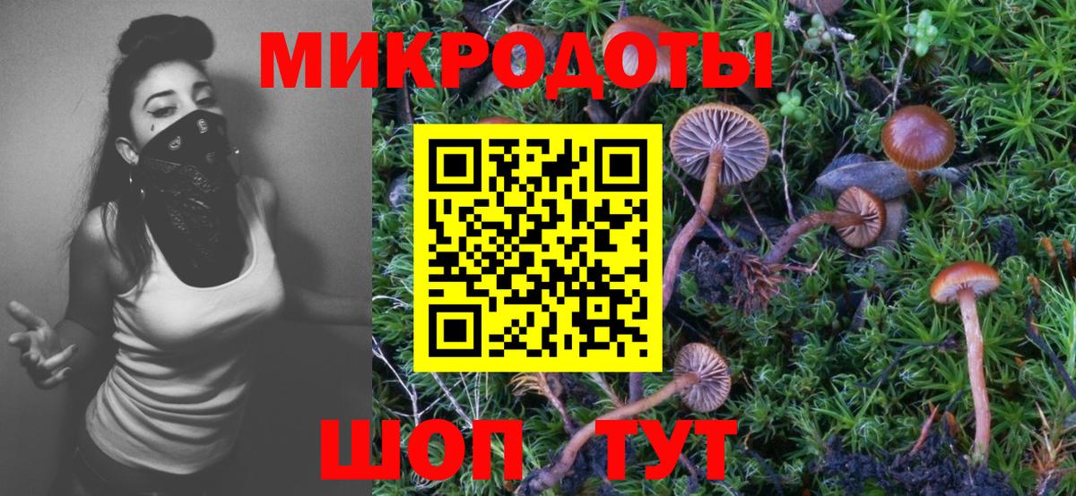Псилоцибиновые грибы Magic Shrooms  Псилоцибиновые грибы прущие грибы  Зеленогорск  Вход с VPN 
