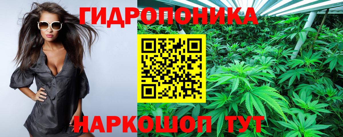Каннабис Ganja Зеленогорск